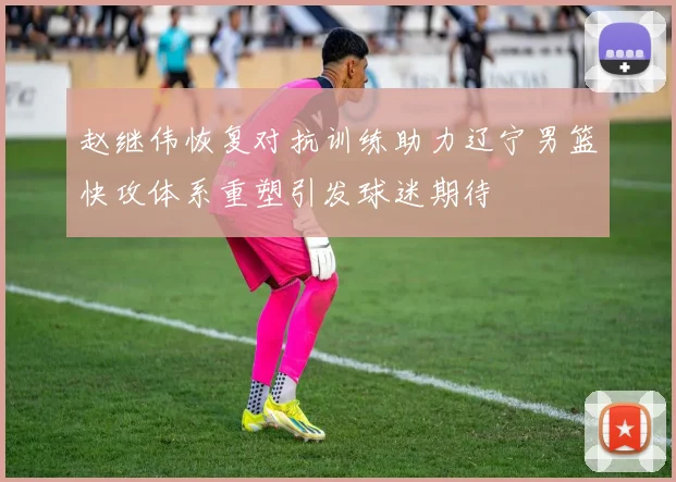 赵继伟恢复对抗训练助力辽宁男篮快攻体系重塑引发球迷期待