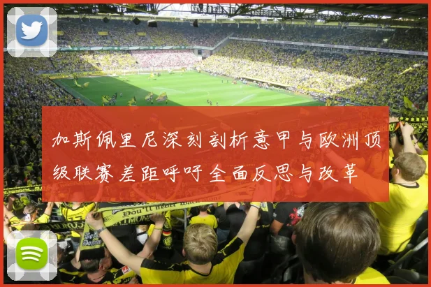 加斯佩里尼深刻剖析意甲与欧洲顶级联赛差距呼吁全面反思与改革