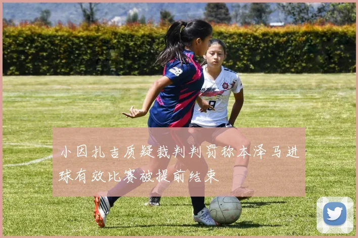 小因扎吉质疑裁判判罚称本泽马进球有效比赛被提前结束